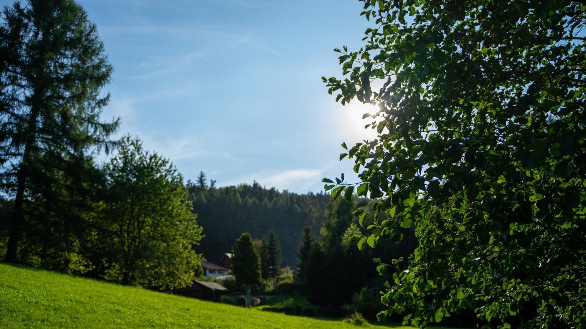 Penzion Myskova Teplice nad Metují Exterior foto