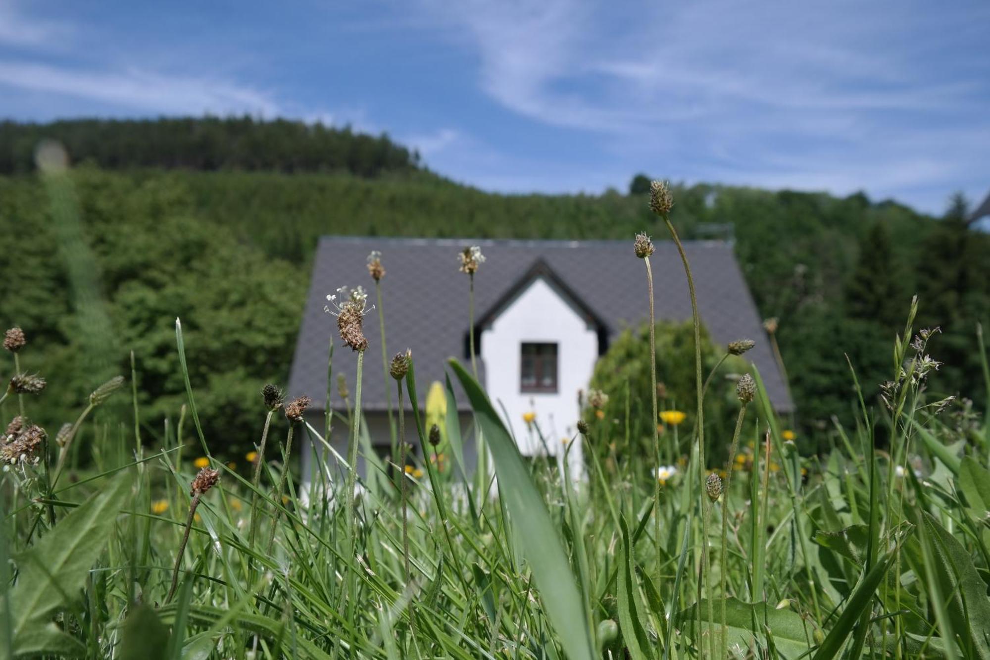 Penzion Myskova Teplice nad Metují Exterior foto